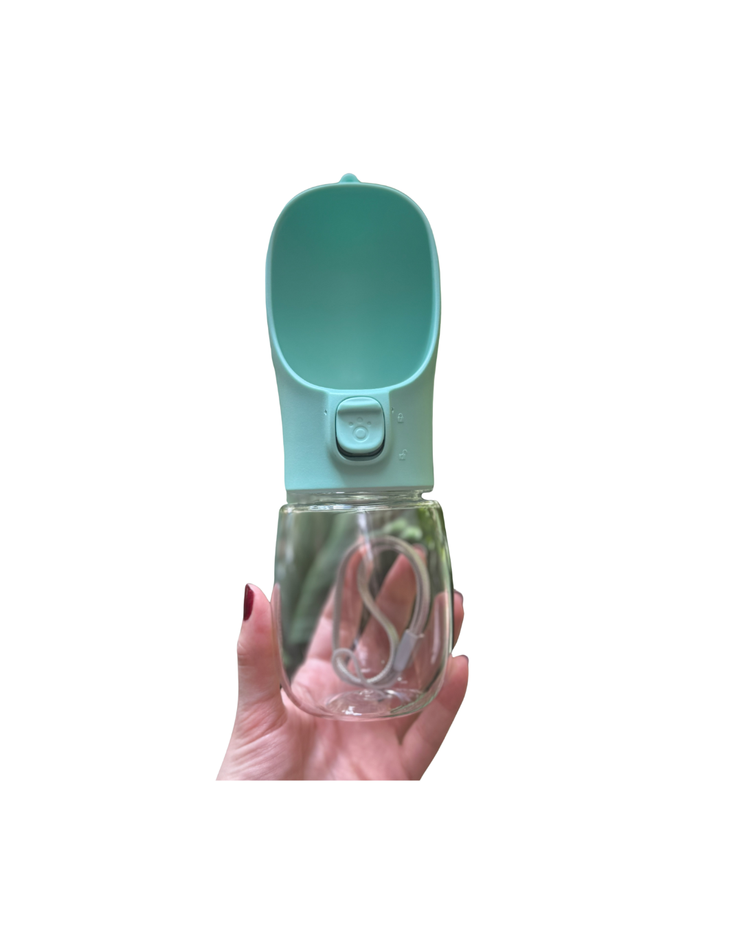 Termo para Mascotas – Agua Fresca en Paseos y Viajes